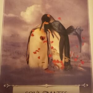 oracle card readings